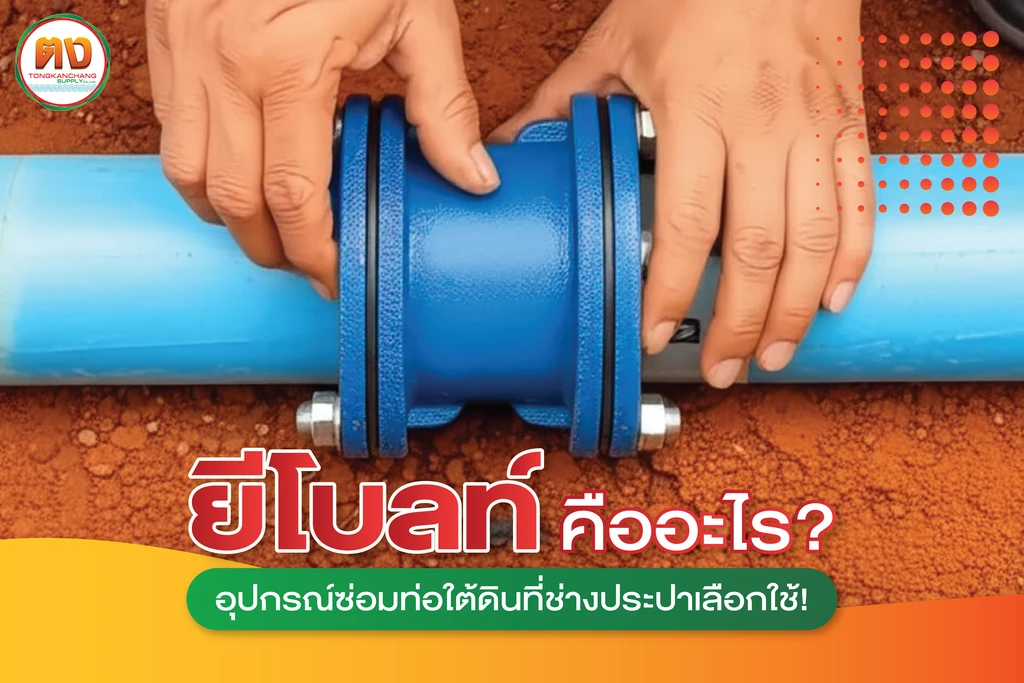 ยีโบลท์ คืออะไร