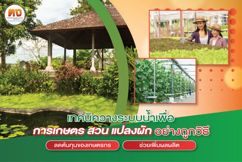 วางระบบน้ำเกษตร ตัวช่วยเพิ่มผลผลิต ลดค่าใช้จ่ายได้