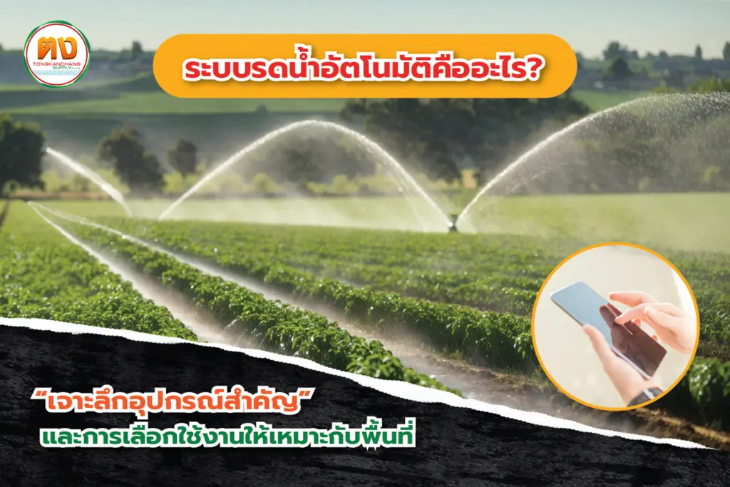 ระบบรดน้ำอัตโนมัติคืออะไร? เจาะลึกอุปกรณ์สำคัญและการเลือกใช้งานให้เหมาะกับพื้นที่