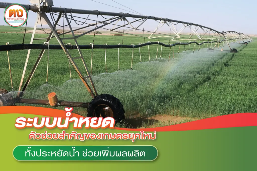ระบบน้ำหยด ดีต่อเกษตรยุคใหม่อย่างไรบ้าง