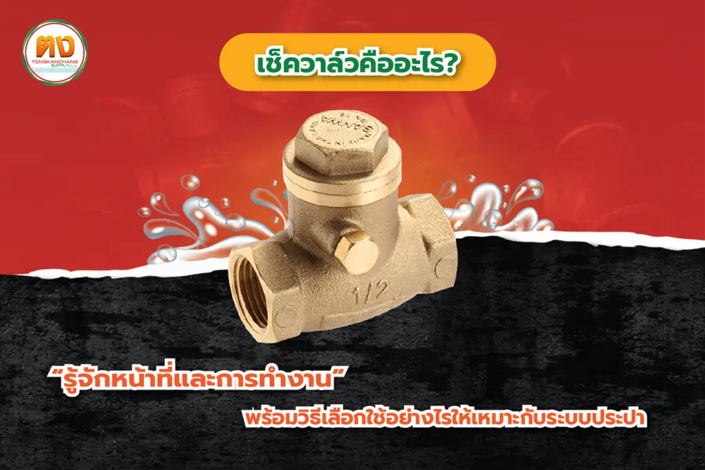 เช็ควาล์วคืออะไร? รู้จักหน้าที่และการทำงาน พร้อมวิธีเลือกใช้อย่างไรให้เหมาะกับระบบประปา